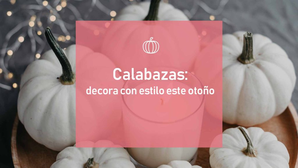 calabazas-blog-reforma-pamplona