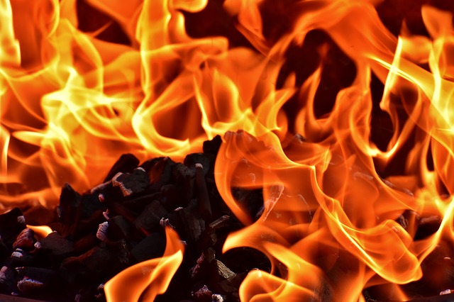 fuego chimenea pellet